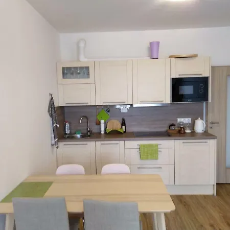 Apartment In Near Hockey Stadium And City Center *
