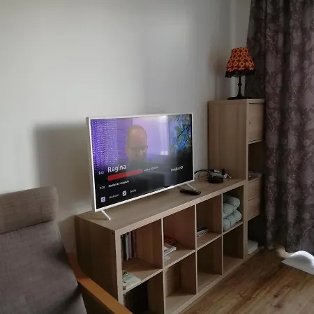 In Near Hockey Stadium And City Center Apartmán *