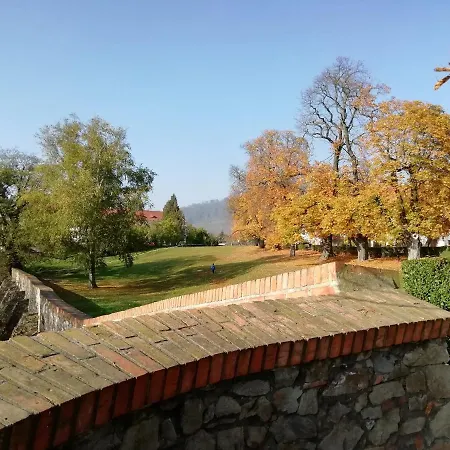 Apartment In Near Hockey Stadium And City Center